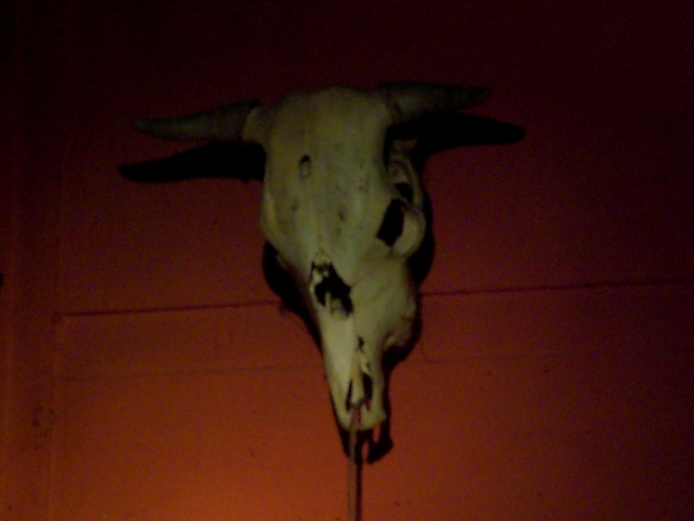 Klicken Sie auf das Bild, um es zu vergr&ouml;&szlig;ern